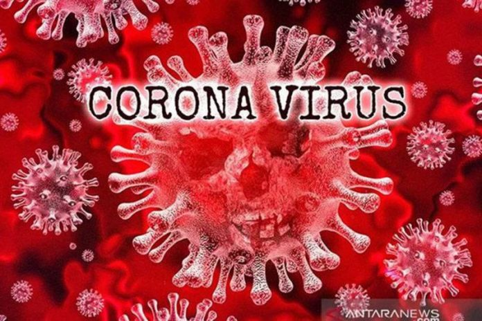 virus-corona2