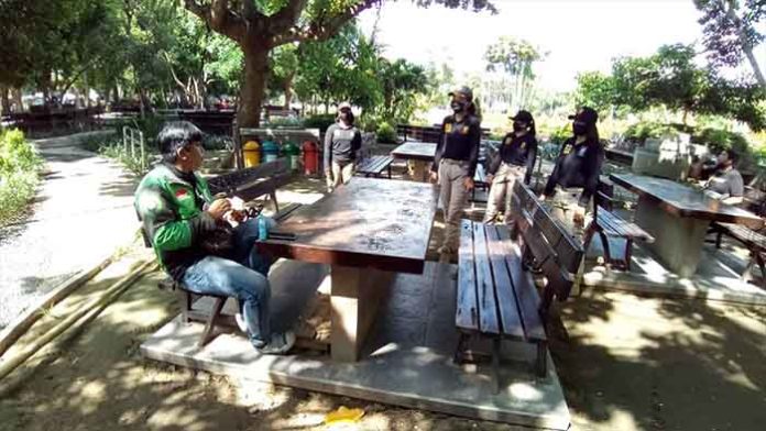 penertiban lapangan