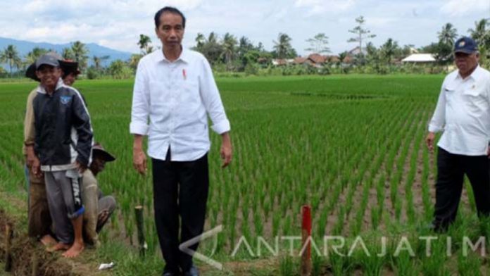 reformasi pangan