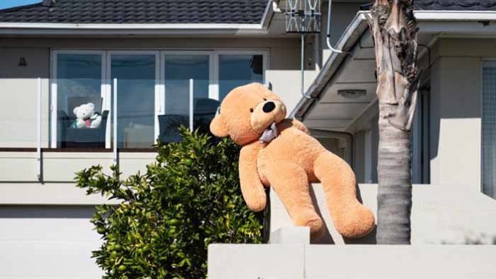 teddy