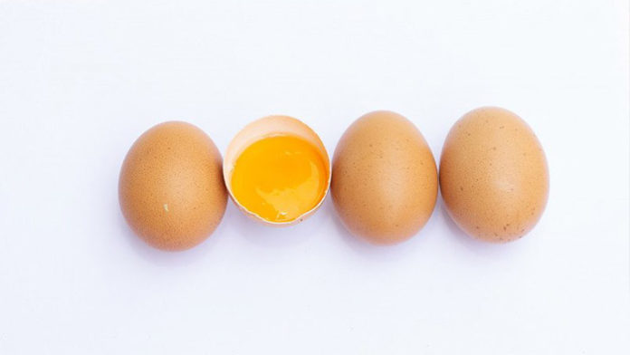 telur
