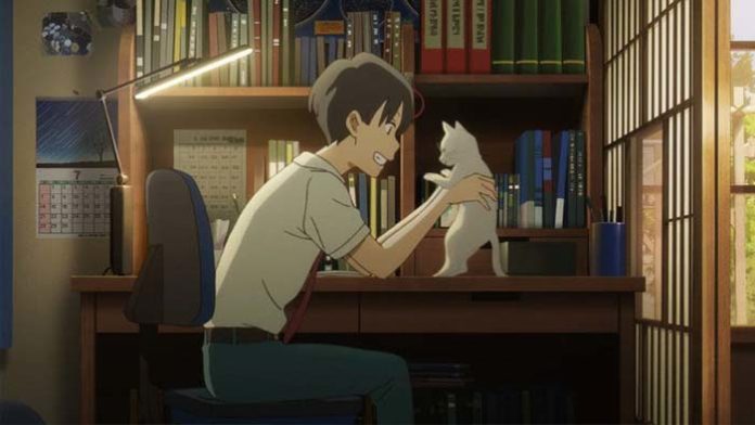 anime