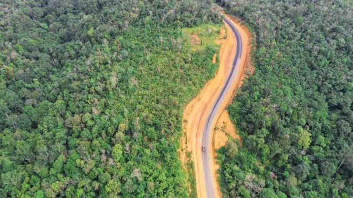 hutan3
