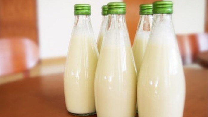 susu mentah