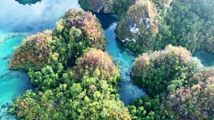 papua