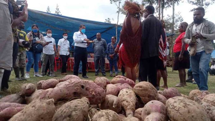 papua