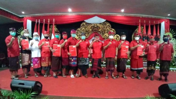 pdip232