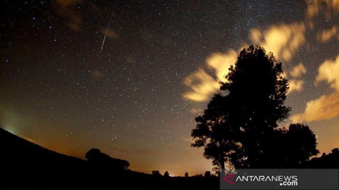 perseid