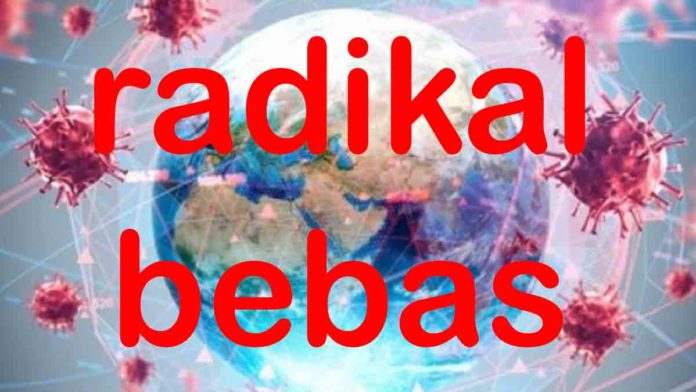 radikal