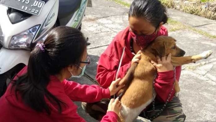 vaksin rabies