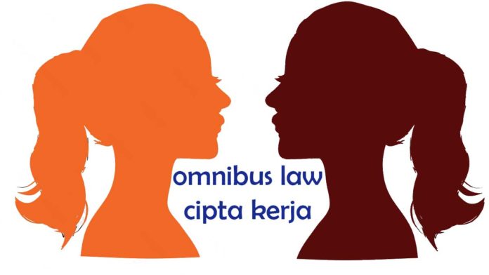 omni33