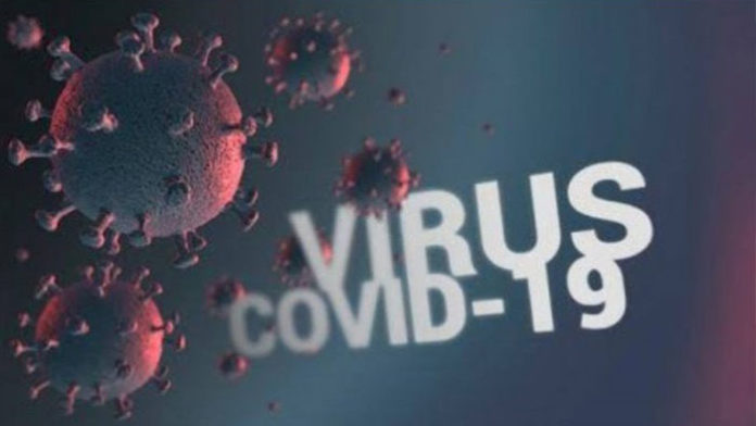 virus