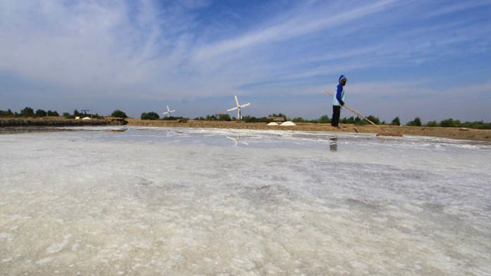 industri garam