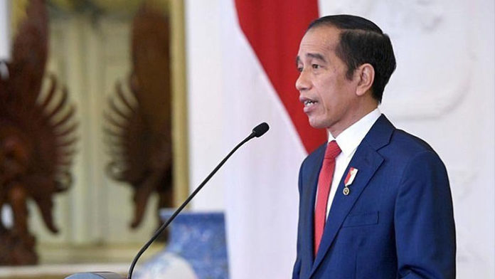 jokowi lantik duta