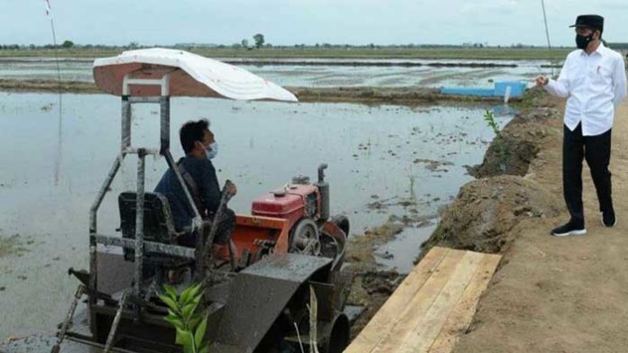 la lina jokowi