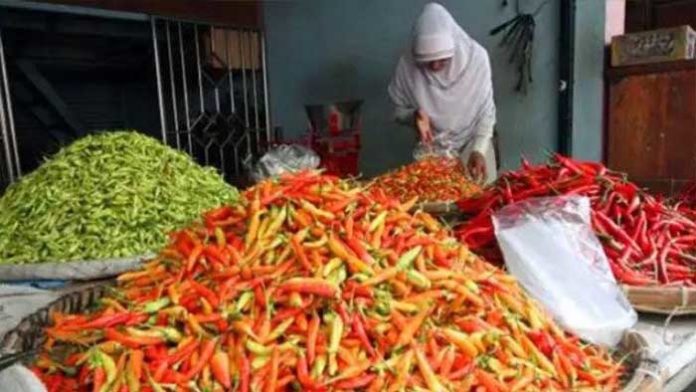 harga cabai