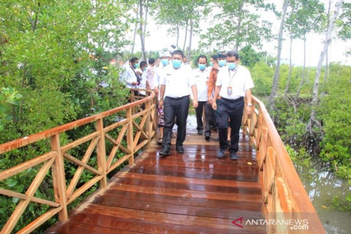 wisata-mangrove-jembrana