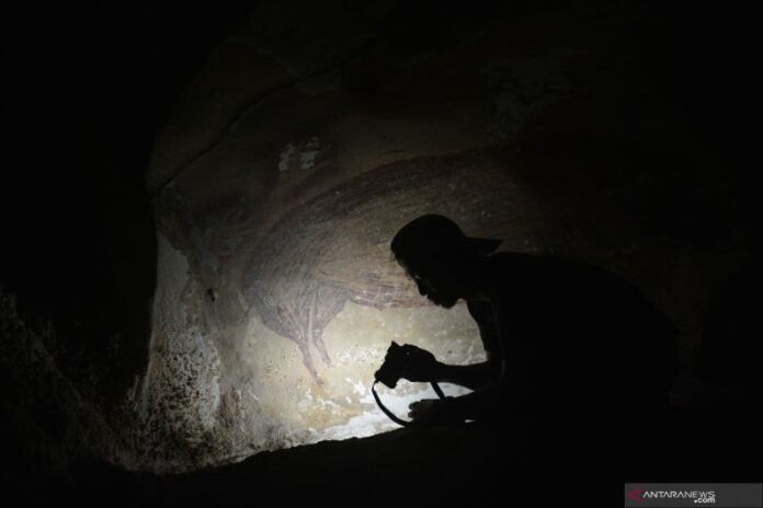 Dated-pig-painting-at-Leang-Tedongnge_credit-AA-Oktaviana
