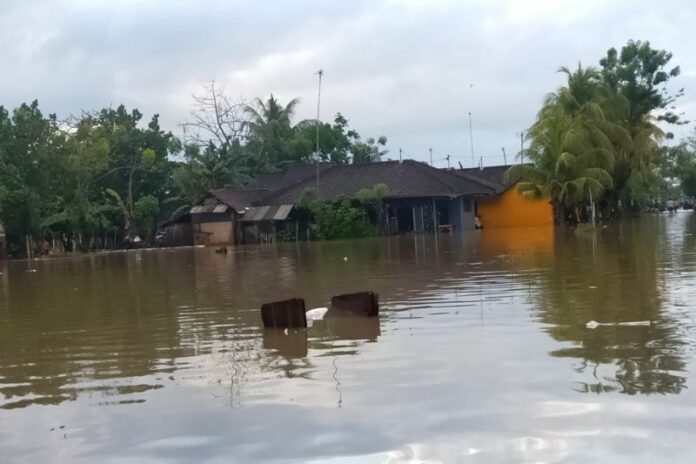 banjir-di-pengambengan (1)