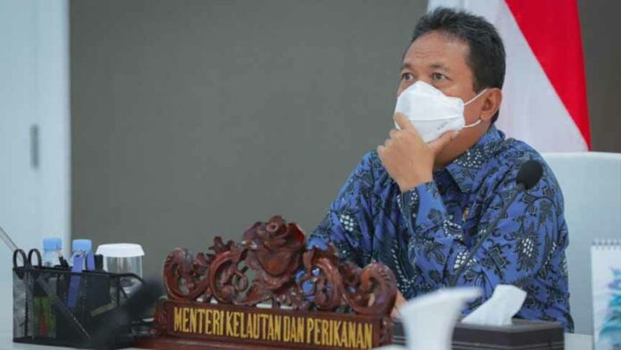 menkkp