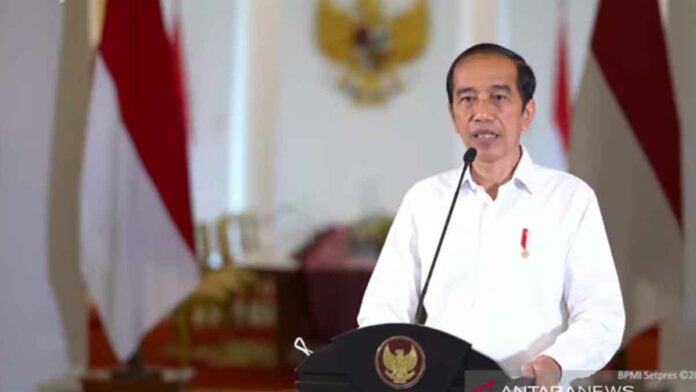 jokowi bupati