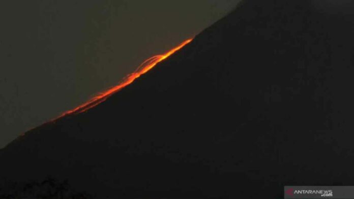 pijar merapi