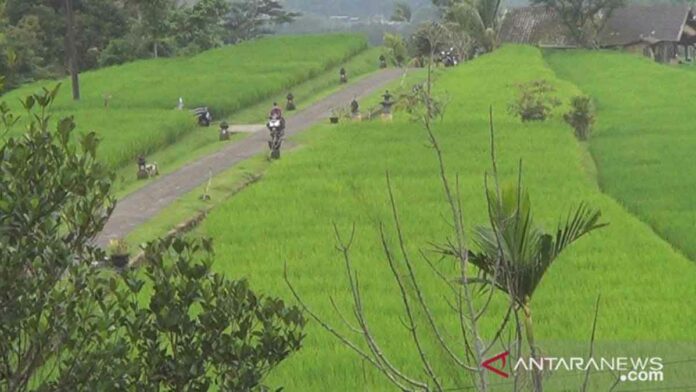 tabanan1