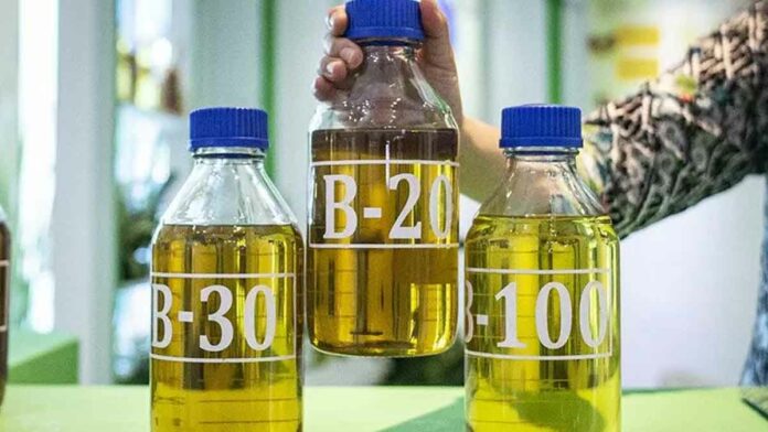 biodiesel harga