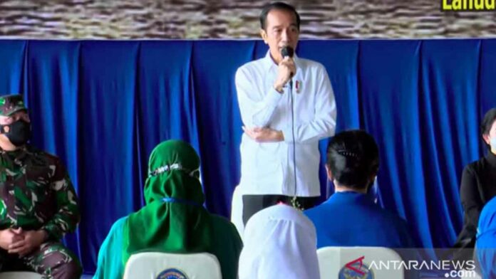 jokowi bangun rumah
