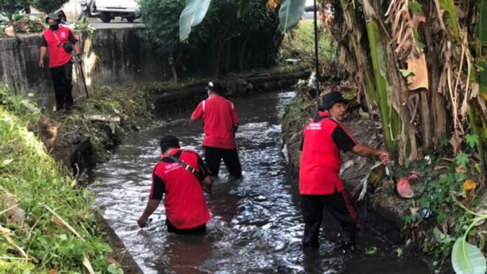 pemkot bersih