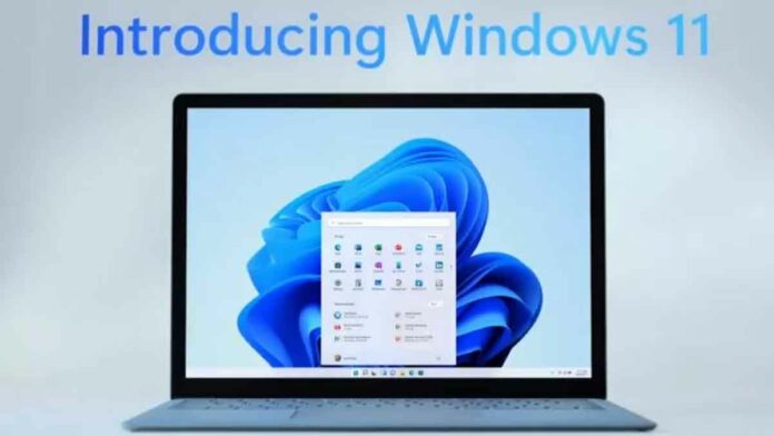 windows 11