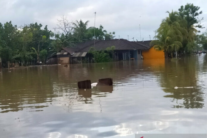 banjir-di-pengambengan
