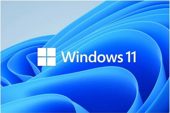 win 11