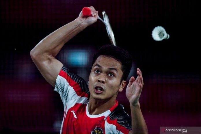 bulu tangkis