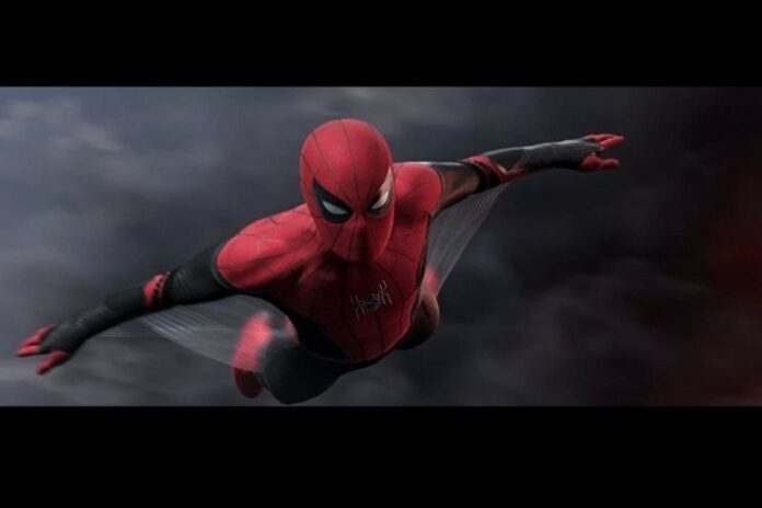 spider