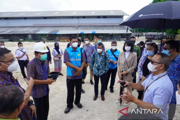 PLN-adv (1)