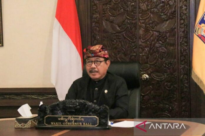 Wagub-Bali-webinar-pahlawan