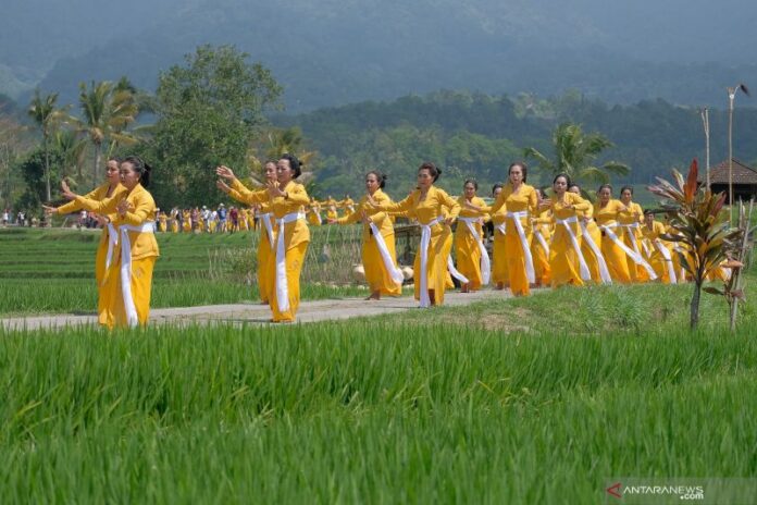 antarafoto-jatiluwih-festival-2019-190919-nhw-4