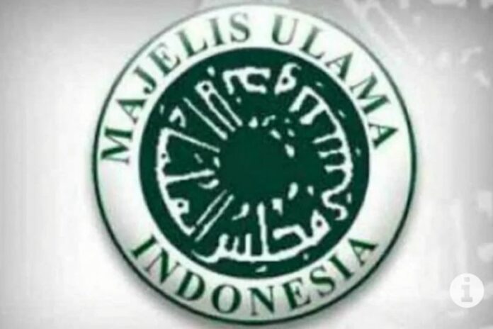 MUI