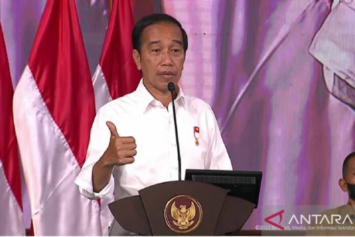 jokowi-kadin_1