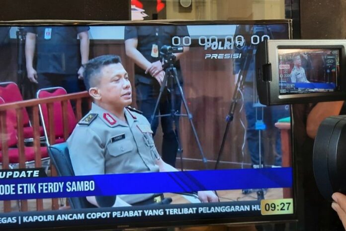sambo