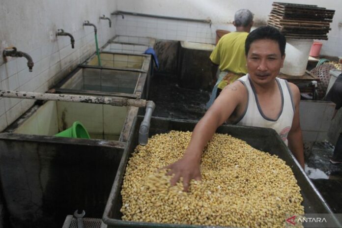 antarafoto-dampak-kenaikan-harga-kedelai-060123-abs-1