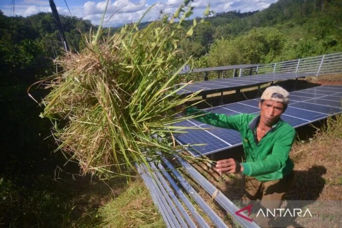 PLTS-untuk-Irigasi-Sawah-011221