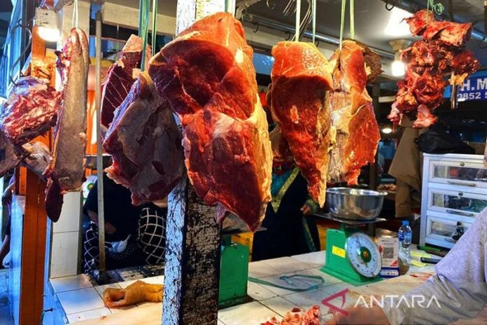 daging-sapi-segar_1.jpg