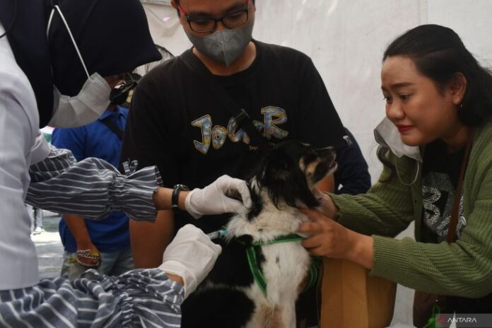 antarafoto-vaksinasi-rabies-madi