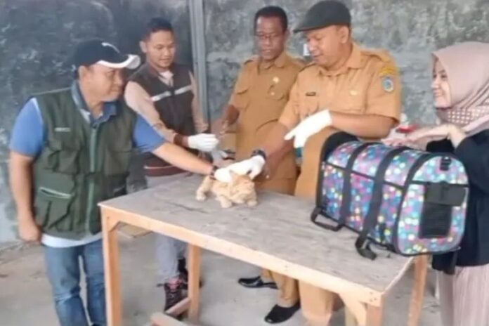 vaksinasi-rabies.jpeg