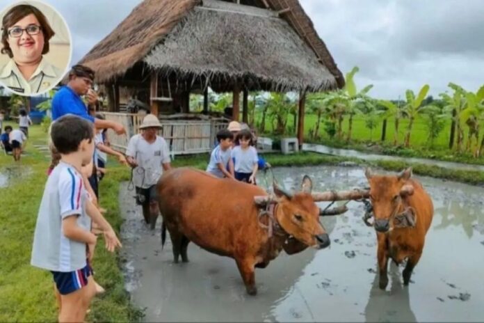 Desa-Wisata-Kertalangu.jpg