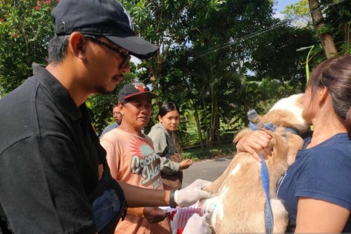 Vaksinasi-rabies-anjing-ok