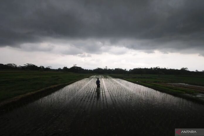 antarafoto-potensi-hujan-di-seju