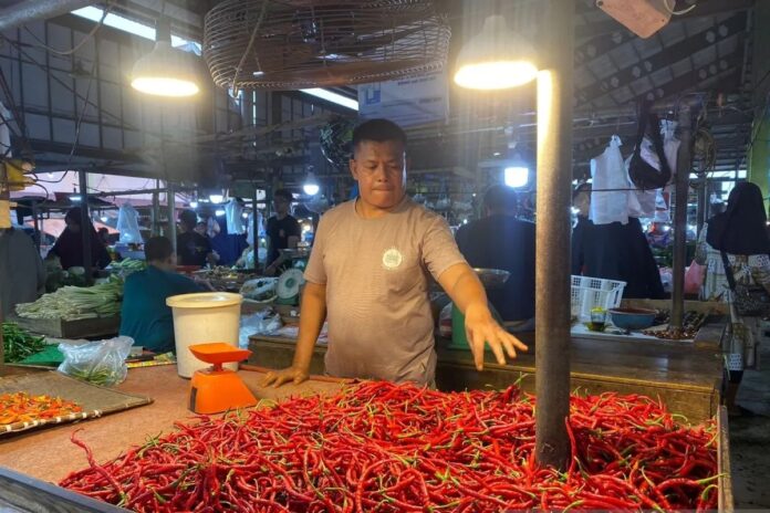 Cabe-merak-keriting.jpg